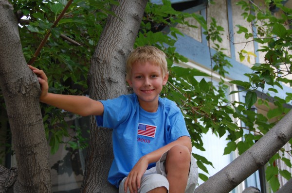 Daniel in tree