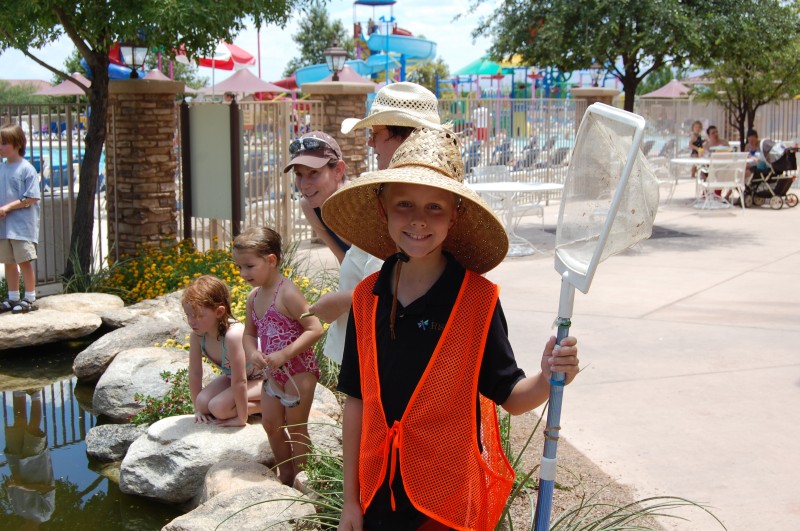 Pond work