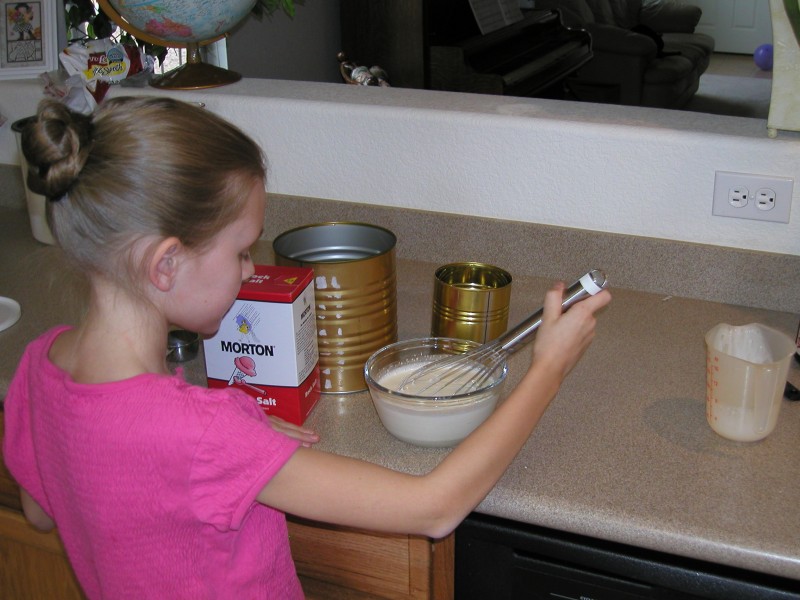 2006-02-18 Ice Cream Science Fair Project 004