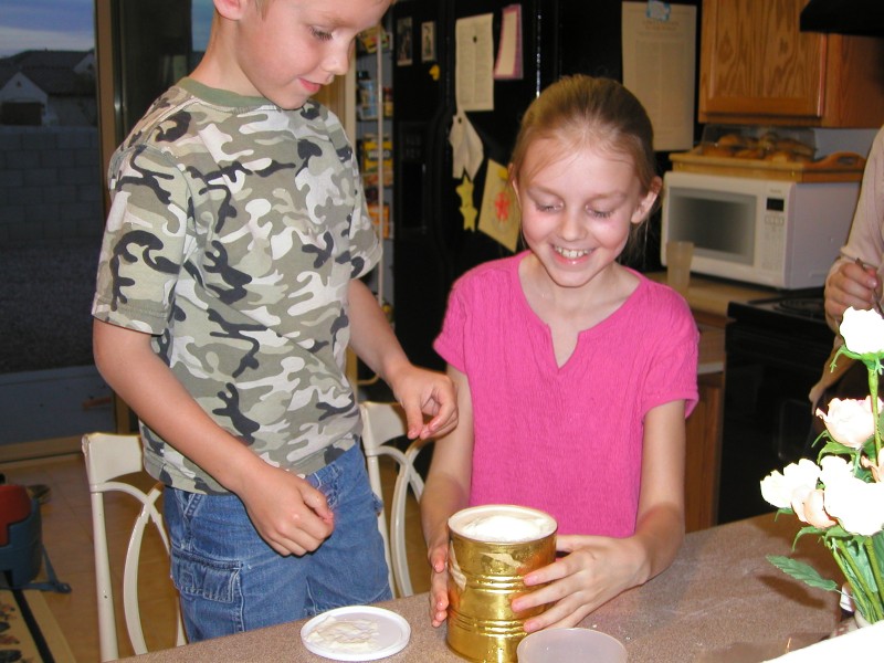 2006-02-18 Ice Cream Science Fair Project 025